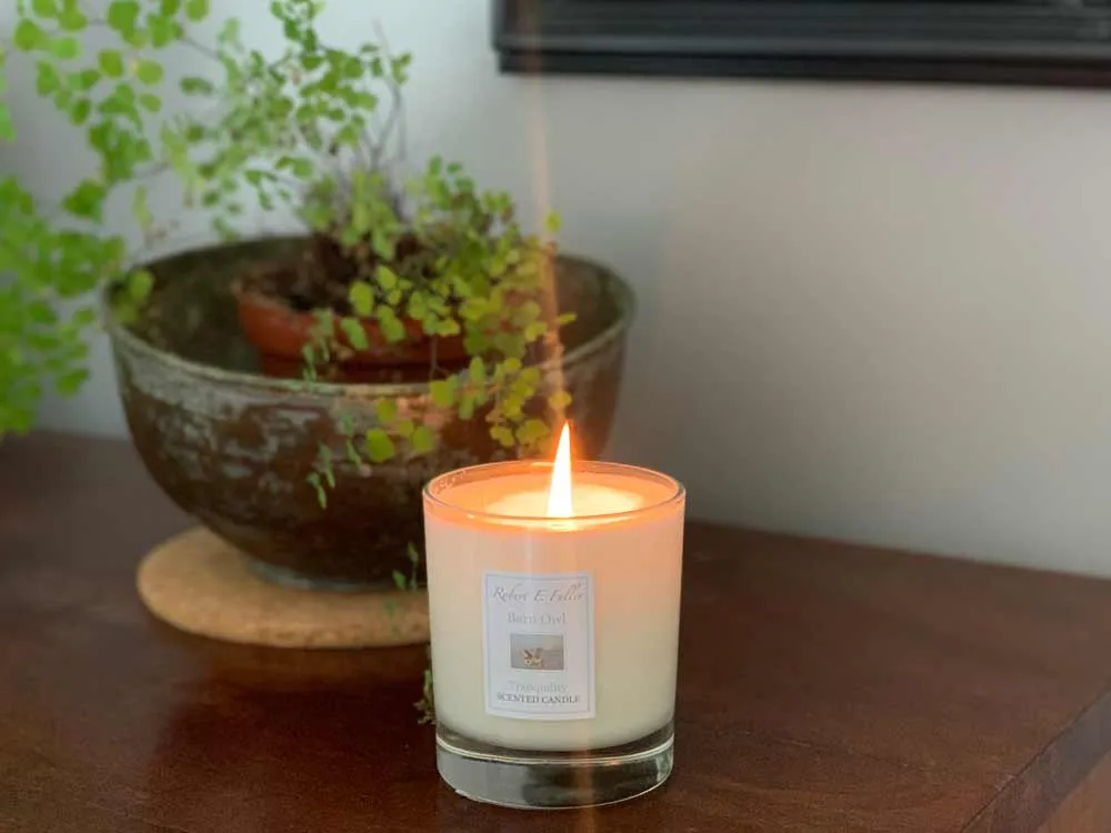 Barn Owl | Luxury Scented Candle & Reed Diffuser Set