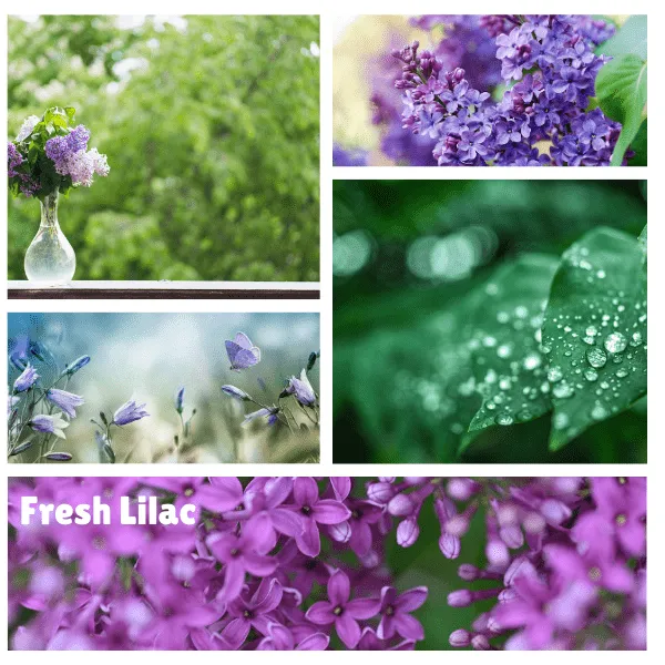 Blessings Fresh Lilac Soy Candle