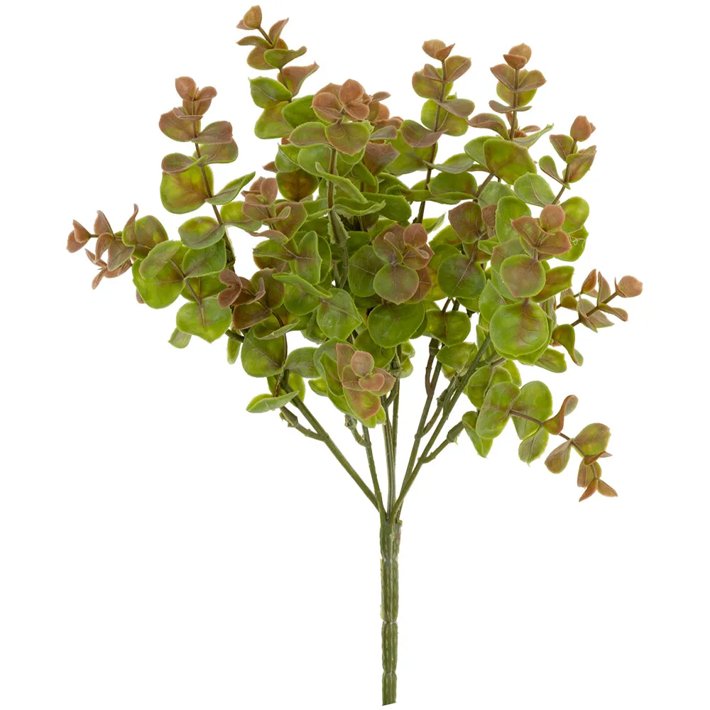 Eucalyptus spray