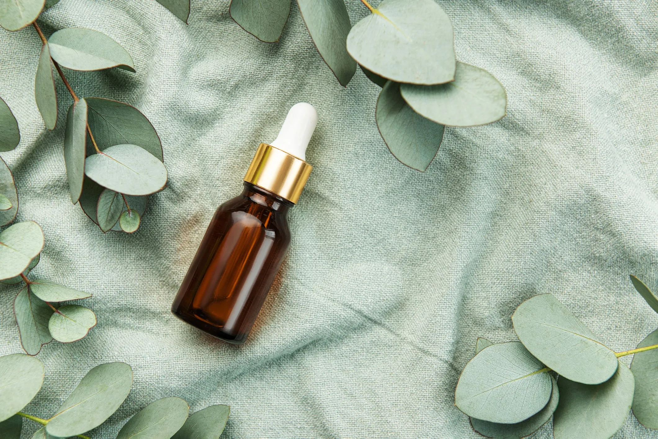Eucalyptus