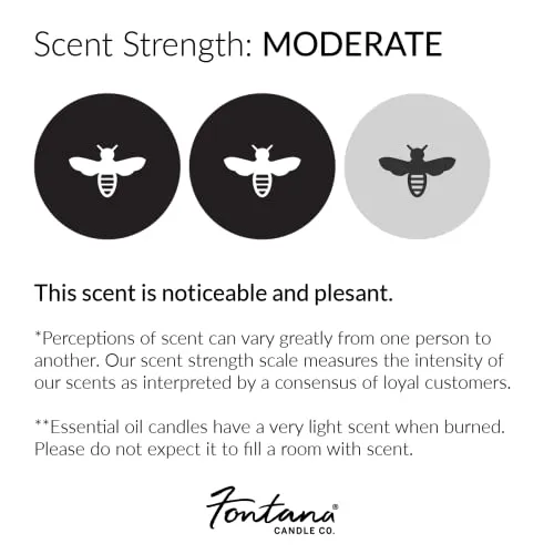 Fontana Candle Company - Spiced Latte Lightly Scented Candle 9 oz | Made from Beeswax and Coconut Oil | Essential Oil | Wood Wick | Long Lasting | Clean Burn and Non Toxic