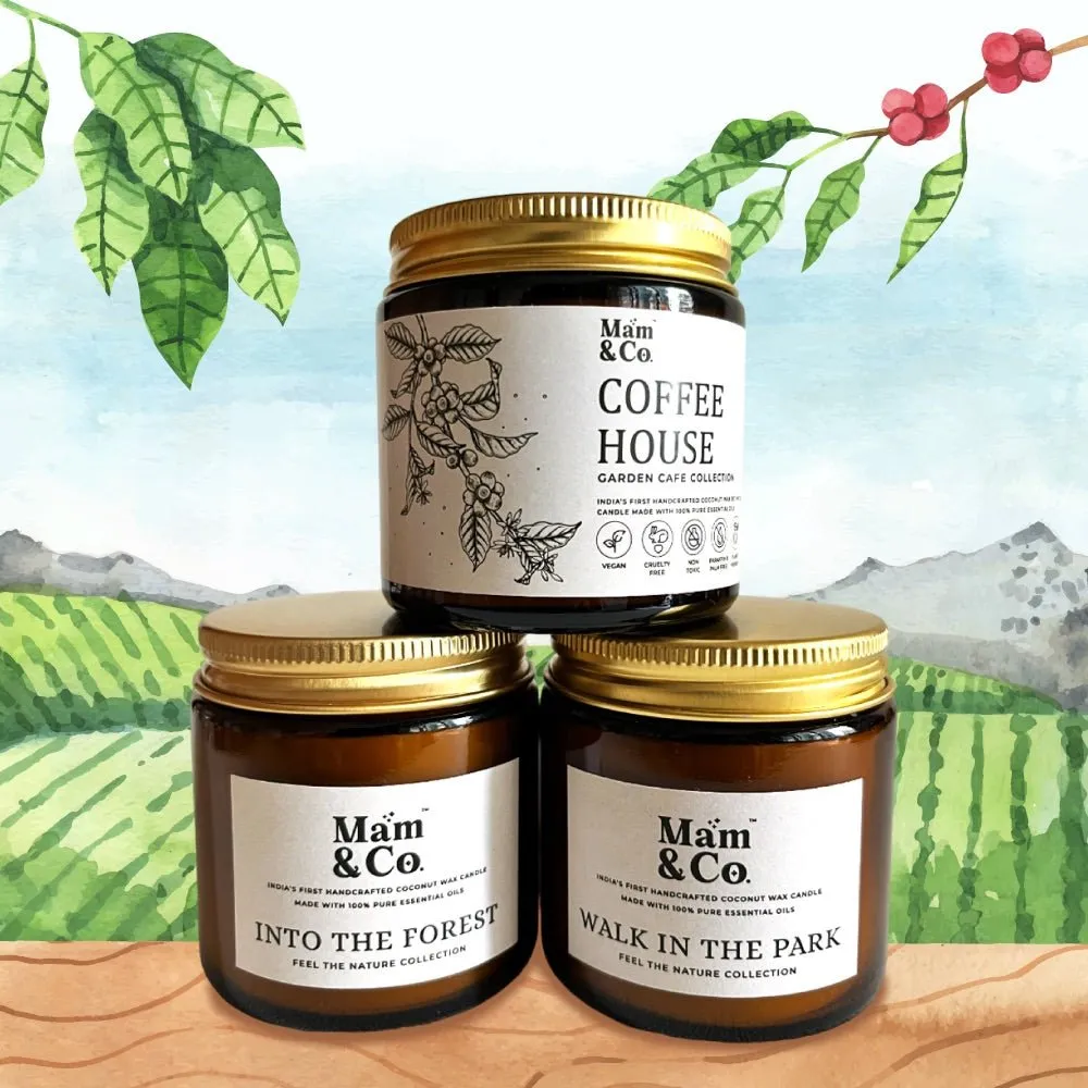Handcrafted Set of 3 Coconut Wax Candles- Coffee House   Into the Forest   Walk in the Park