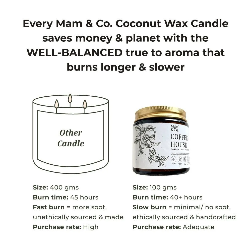 Handcrafted Set of 3 Coconut Wax Candles- Coffee House   Into the Forest   Walk in the Park