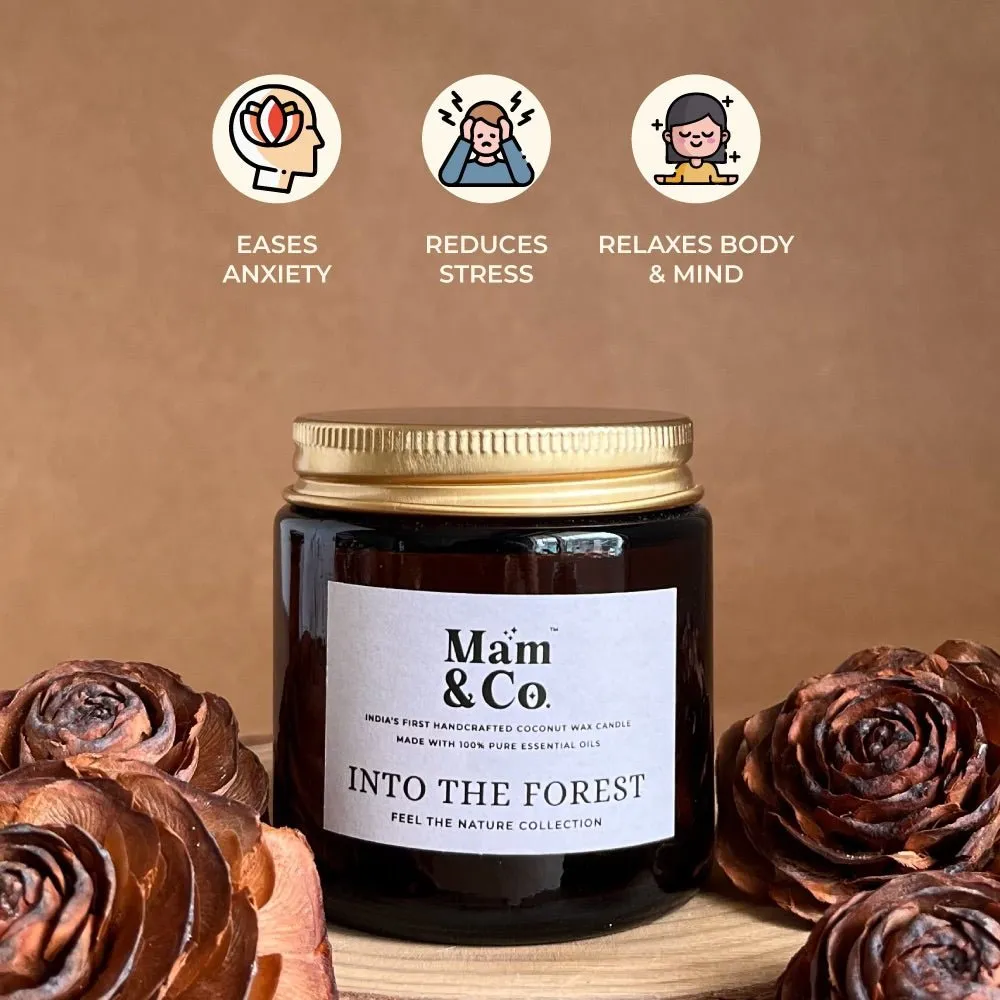 Handcrafted Set of 3 Coconut Wax Candles- Coffee House   Into the Forest   Walk in the Park