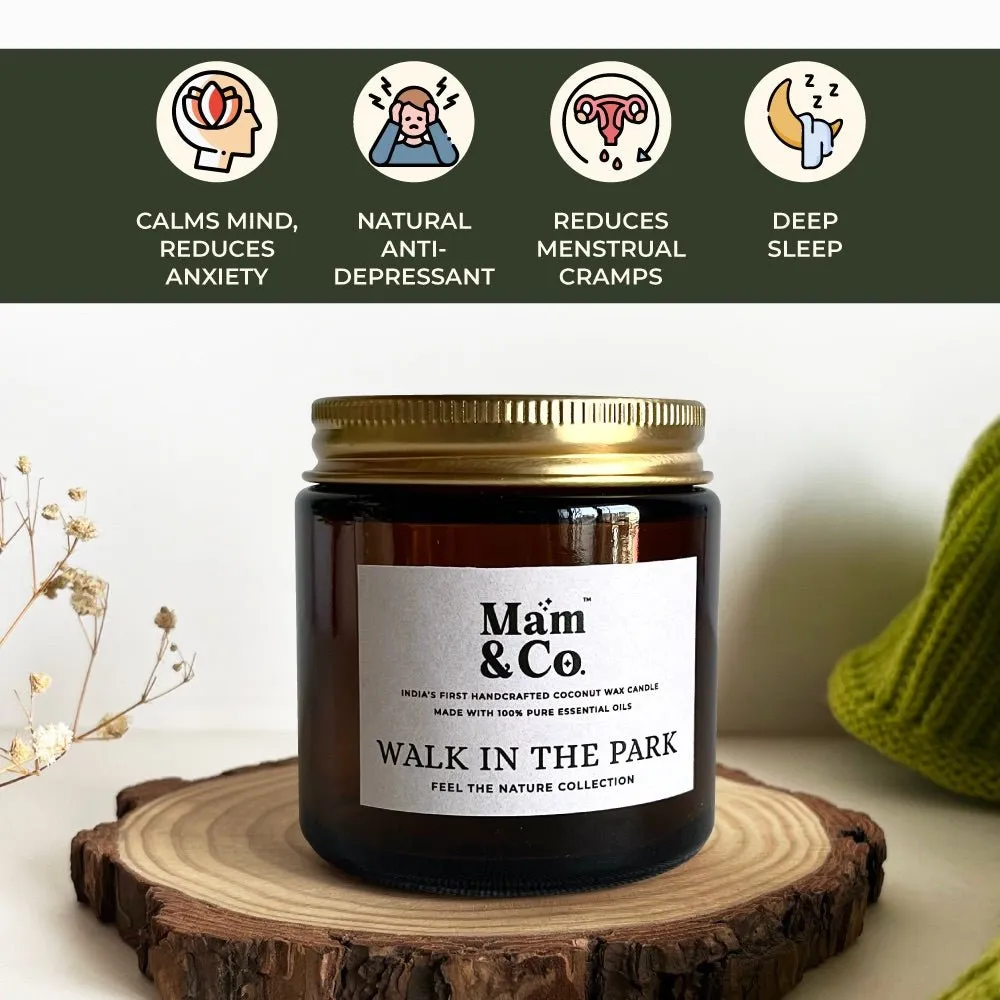 Handcrafted Set of 3 Coconut Wax Candles- Coffee House   Into the Forest   Walk in the Park