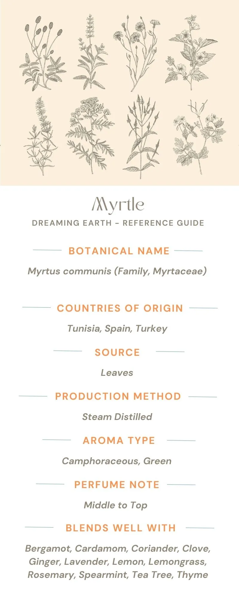 Myrtle Essential Oil