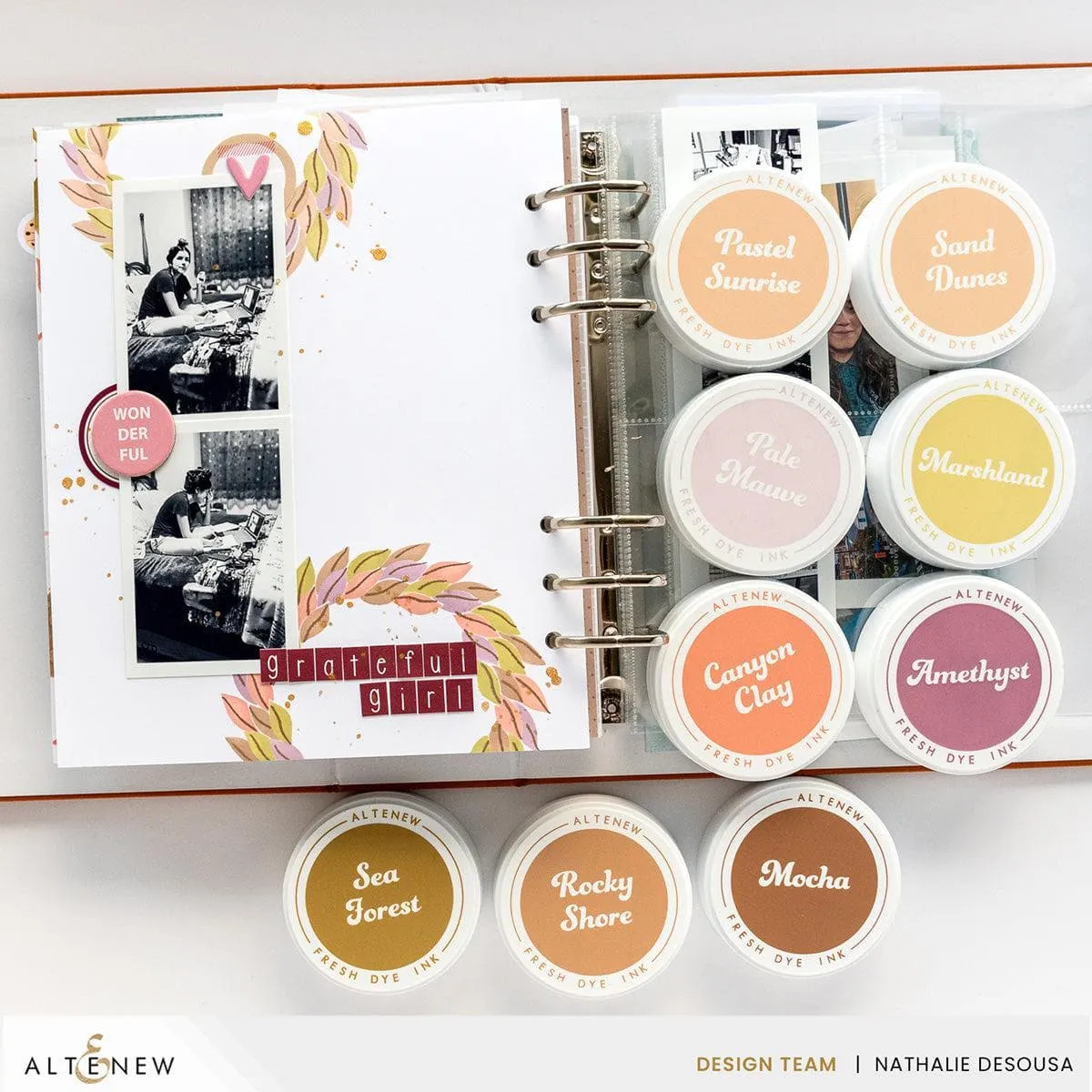 Nature’s Wonders Fresh Dye Ink Reinker