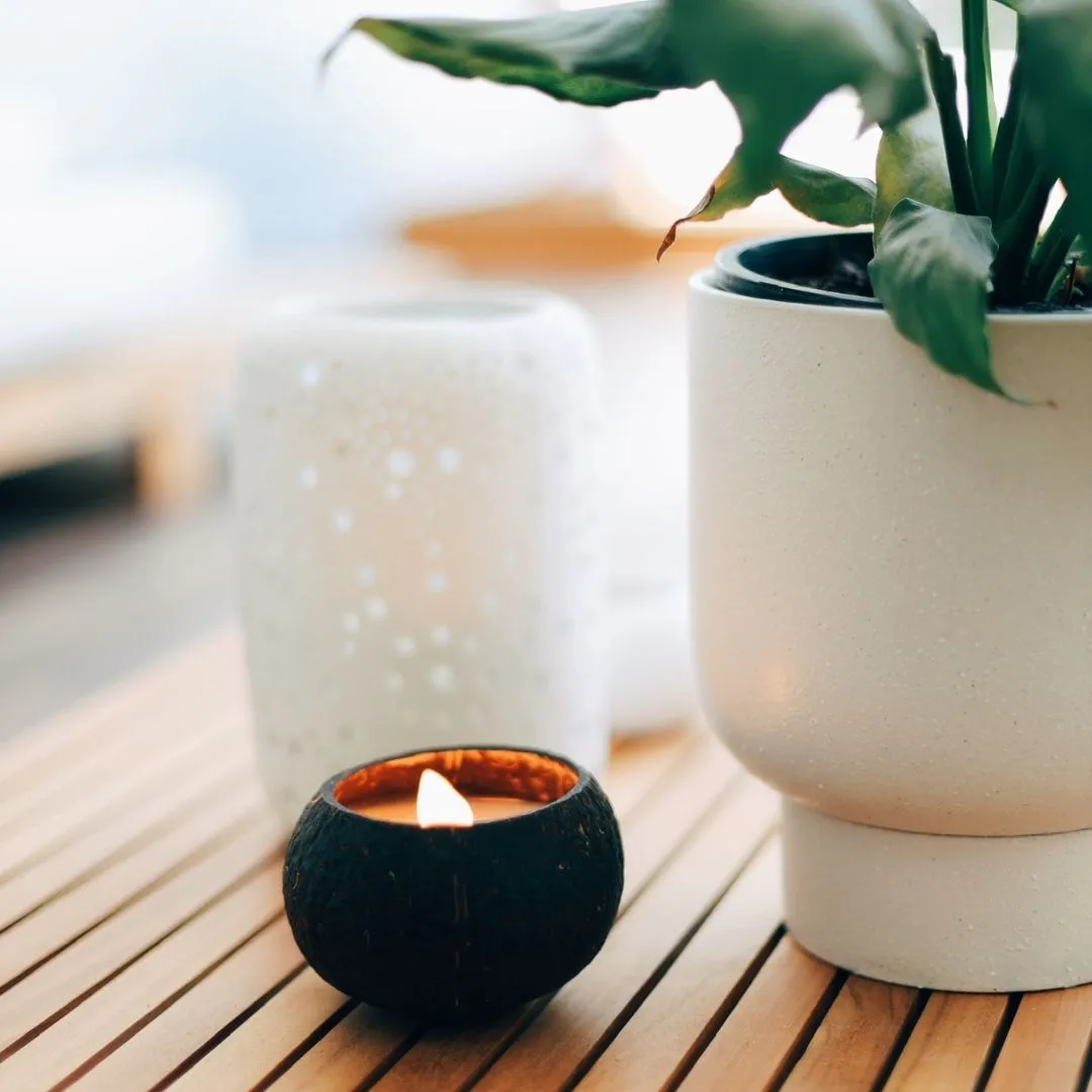 Ocean Breeze Coconut Candles