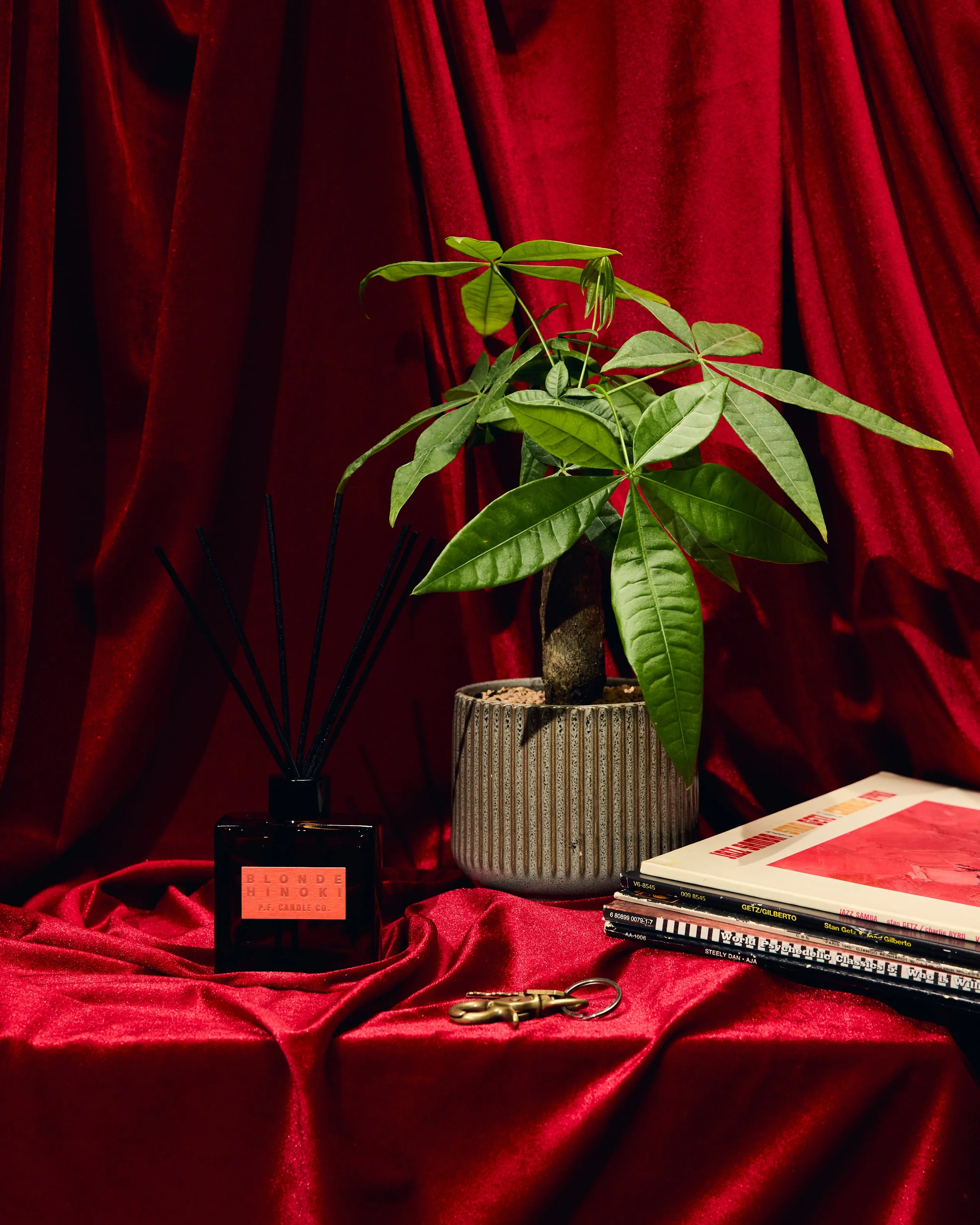 P.F. Candle Co. HI-FI Reed Diffuser - Blonde Hinoki