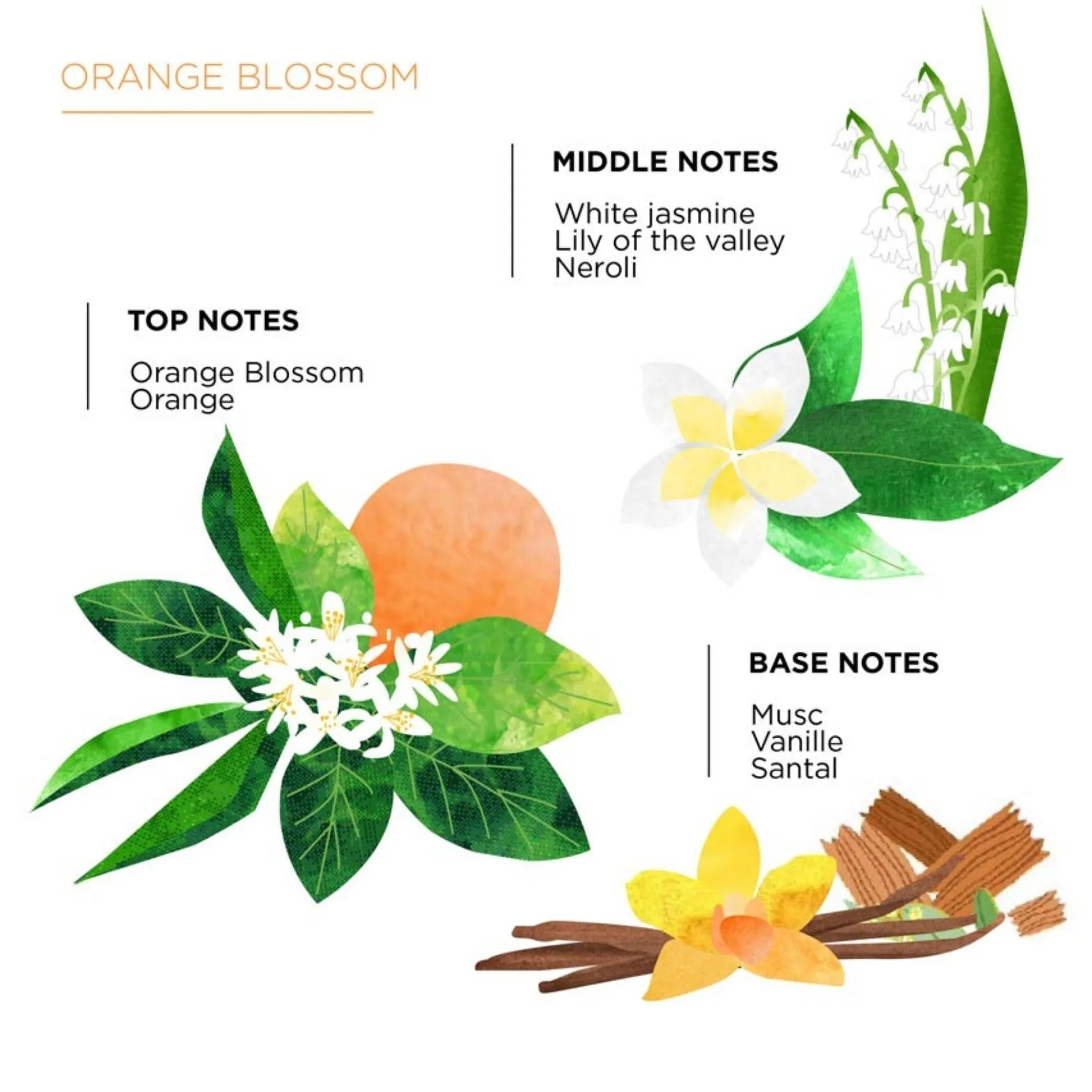 Scented Candle Sabra Nelia Orange Blossom