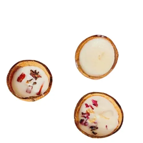 Scented Coconut Shell Candles Scented Luxury Soy Wax Coconut Shell Candles || Scented Candles for Bedroom || Scented Candles for Home || Scented Candles (Set of 3)