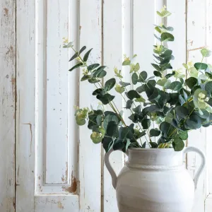 TallEucalyptus Spray